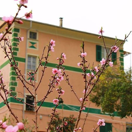 Appartamento Di Prestigio- Ca Da Lina - Deiva Marina Exterior foto